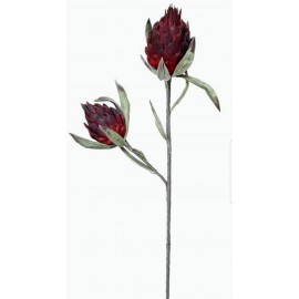 ΑΓΚΙΝΑΡΑ ΜΠΟΡΝΤΩ